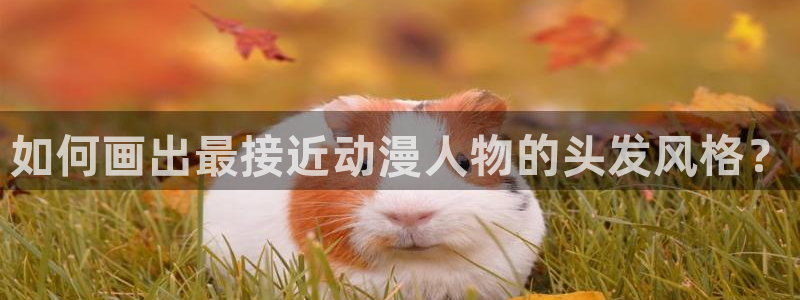 羞羞漫画不：如何画出最接近动漫人物的头发风格？