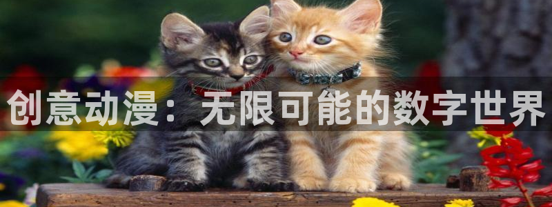 羞羞漫画进去：创意动漫：无限可能的数字世界