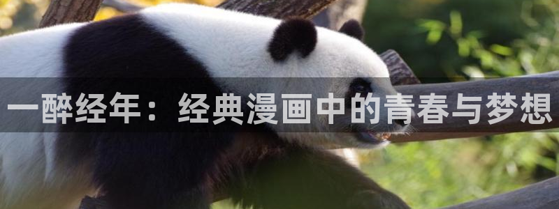 羞羞漫画sss视频：一醉经年：经典漫画中的青春与梦想